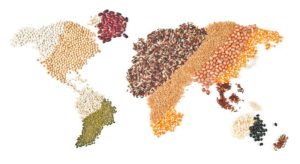 Luxury of choice illustrated by world map made of grains