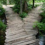 The Field Mission Dilemma - A choice with equally unattractive solutions illustrated by a three way wooden path