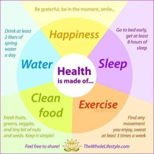 Health is made of... Diagram of the components of courtesy to TheWholeLifestyle.com