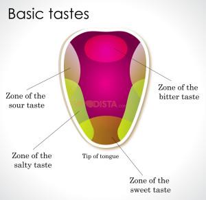 Feel Good Tip for the senses, of which Taste is key. Illustrated by picture of Tongue and the zones for sweet, bitter, salty.