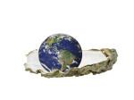Living Abroad is an experience, and home is everywhere yet nowhere illustrated by the symbolic oyster shell holding the world