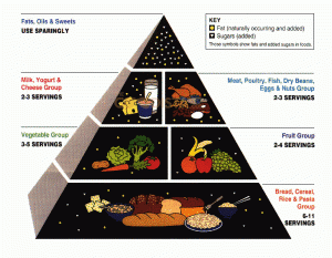 Healthy Wight Loss means understand the Food Pyramid illustrated by the USDA 