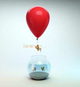 Change Reaction to a new marital status or partner can be surprising as illustrated by a gold fish leaving the tank by means of a red balloon