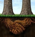 Working Away Relationships can mean forming roots together based on agreed partnership as illustrated by two tree roots growing together.