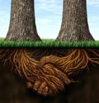 Working Away Relationships can mean forming roots together based on agreed partnership as illustrated by two tree roots growing together.