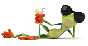 Summer can be Holiday or Helliday - Make it Wow instead by not planning so much as illustrated by the relaxing frog.