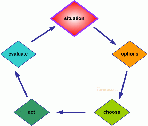 Wellness Your Way is how to look at each problem as a challenge, make active decisions, and draw from your life to make a change - illustrated by a pilot decision making flow. 