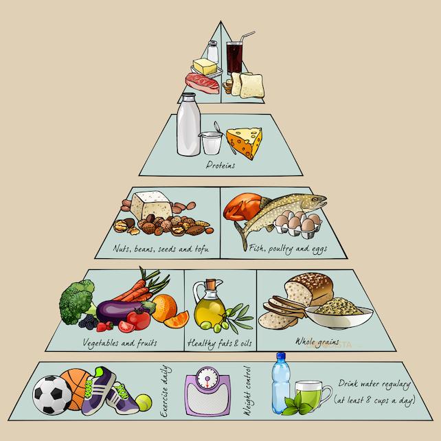Fitness Food is key to an active energy filled life, illustrated by the Healthy Eating Pyramid. 