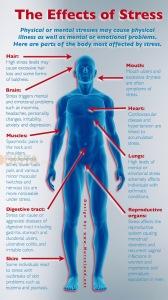 Working Away is a source of stress, and the effects of stress on the body are harmful as seen in this info graphic by www.nurseland.net