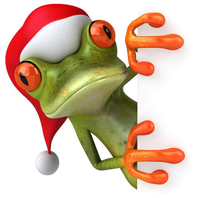 Working on Christmas illustrated by frog in Santa hat