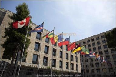 Languages is a great communication tool, and sometimes a barrier. Read thegoodista.com for top tips how to learn. Picture shows flags outside United Nations .