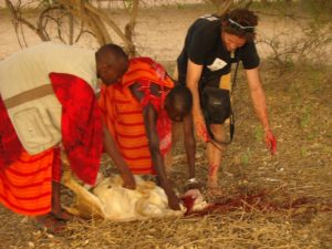 Travel fitness, food and different customs in this post on thegoodista.com. Illustrated by photo of Maasai slather of goat in celebration of guests. 