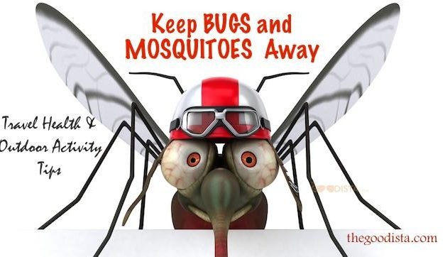 How To Keep Bugs and Mosquitoes Away