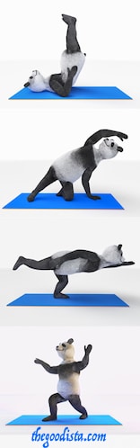Stretching is key to full fitness, illustrated by stretching Panda.