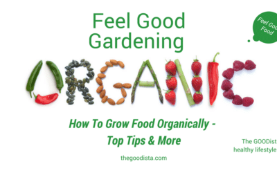 Organic Gardening: Tips on Growing Your Own Food