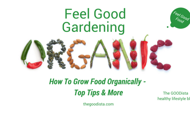 Organic Gardening: Tips on Growing Your Own Food