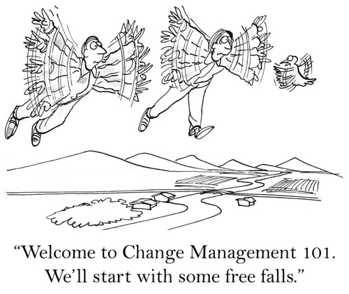 Resistance Resilience Change Management cartoon